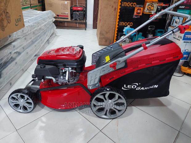 Leo Lawn Mower · Photo 1