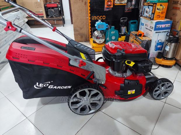 Leo Lawn Mower · Photo 3