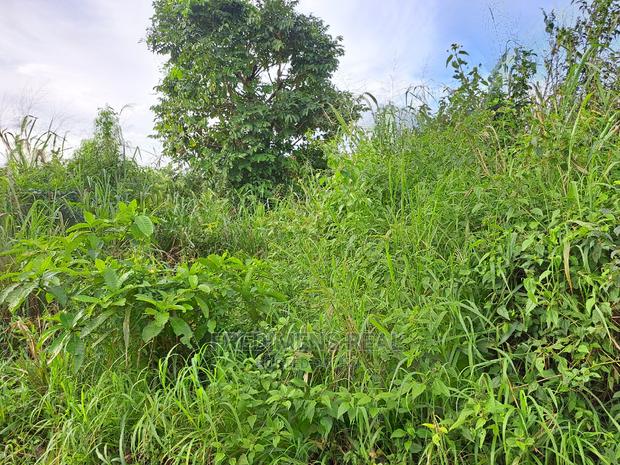 A Land at Antoa for Sale · Photo 3