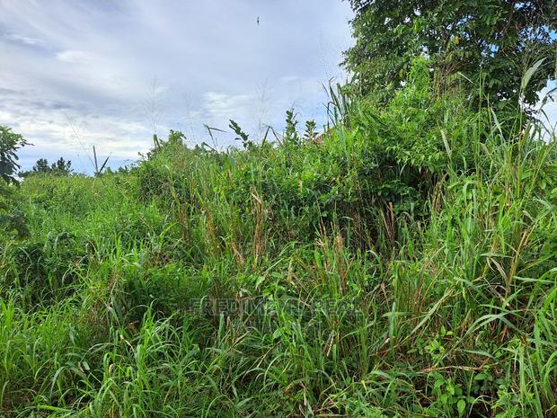 A Land at Antoa for Sale · Photo 5