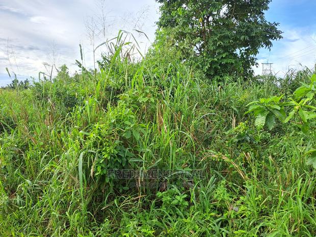 A Land at Antoa for Sale · Photo 7