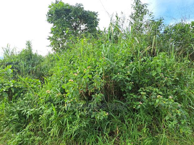 A Land at Antoa for Sale · Photo 8