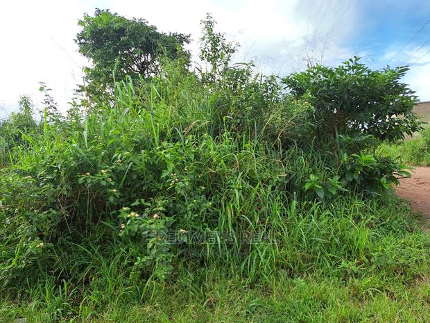 A Land at Antoa for Sale · Photo 4