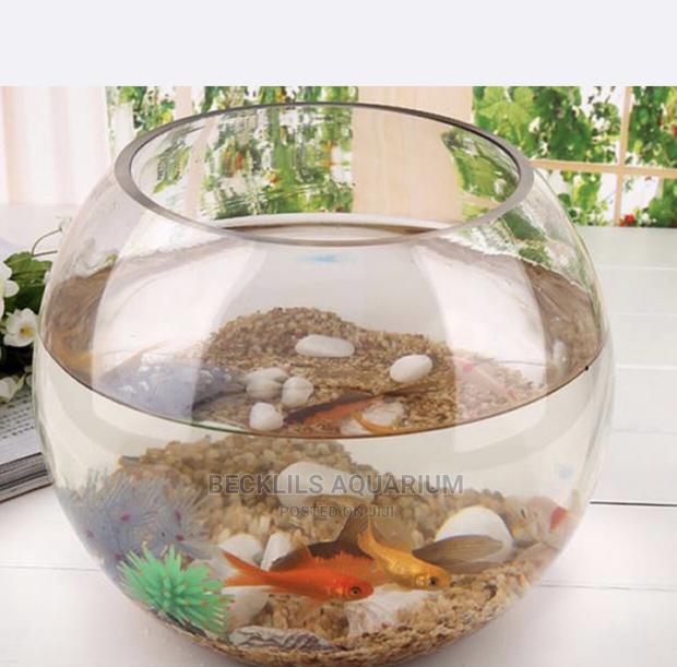 Package Glass Fish Bowl · Photo 1