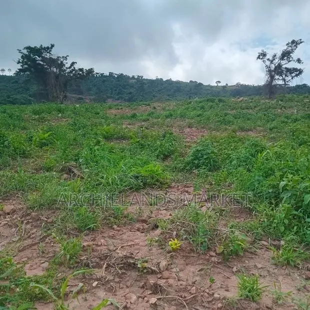 Land Available at Adamrobe for Sale · Photo 1