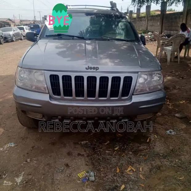 Jeep Liberty 2006 Gray · Photo 1