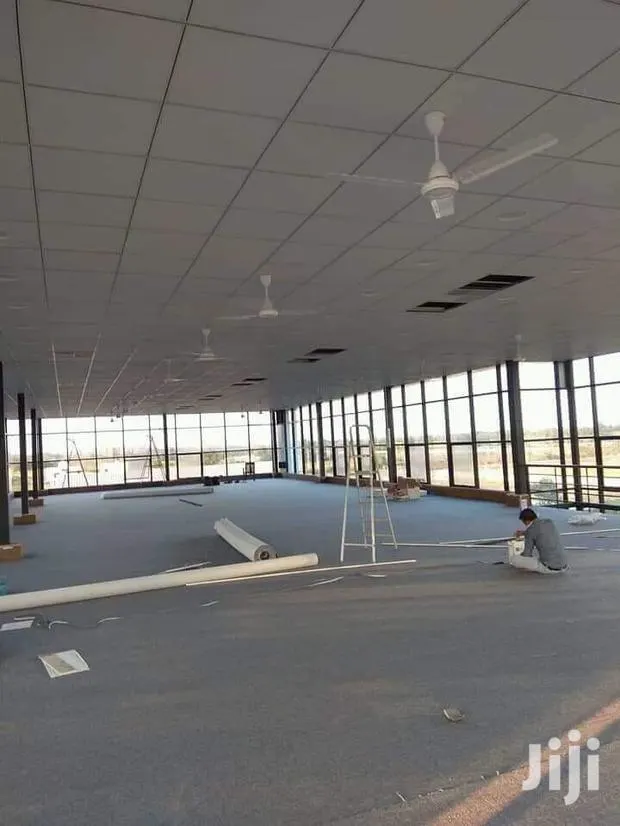 Acoustic Ceilings · Photo 1