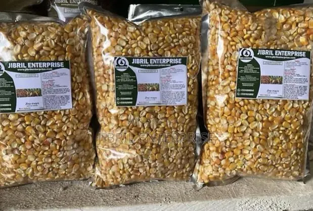 Deux Mois, 75 Days Togolese Yellow Maize Seeds, 1kg /25gh, Non Hybrid · Photo 4