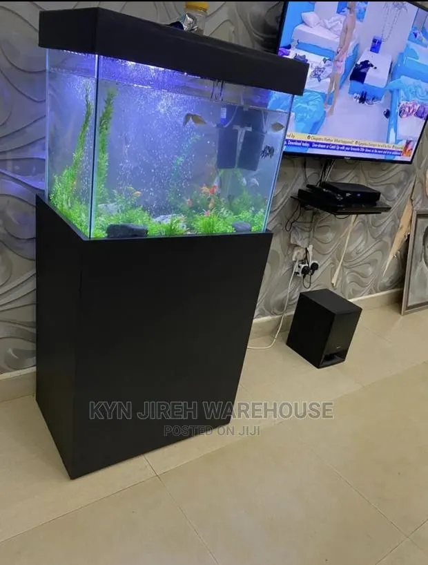 Aquarium With Live Fishes · Photo 1