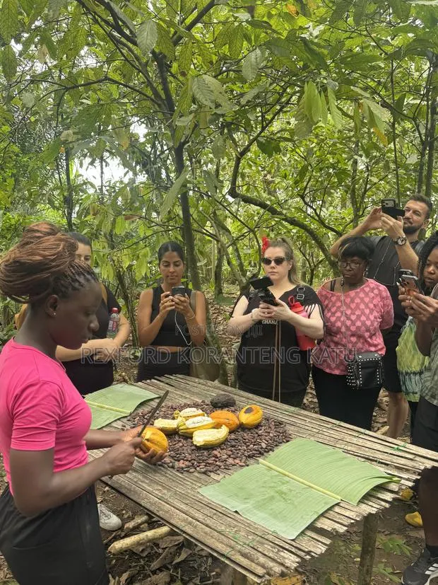 Tour Ghana and Discover Ghana · Photo 1