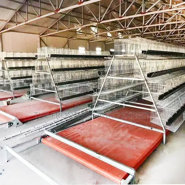 Commercial Conveyor Battery Cage (960 Birds Capacity) · Photo 1