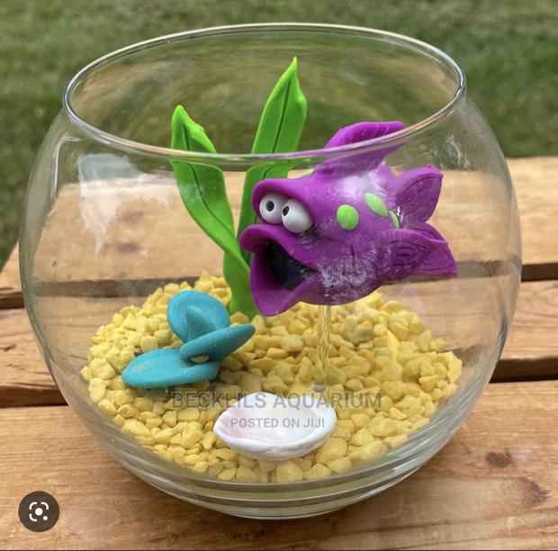 Plastic Fish Bowls Available · Photo 2