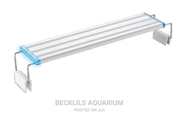 Aquarium Light · Photo 3