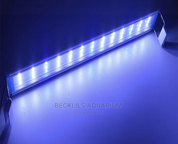 Aquarium Light · Photo 1