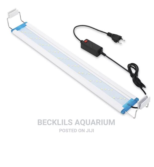 Aquarium Light · Photo 4