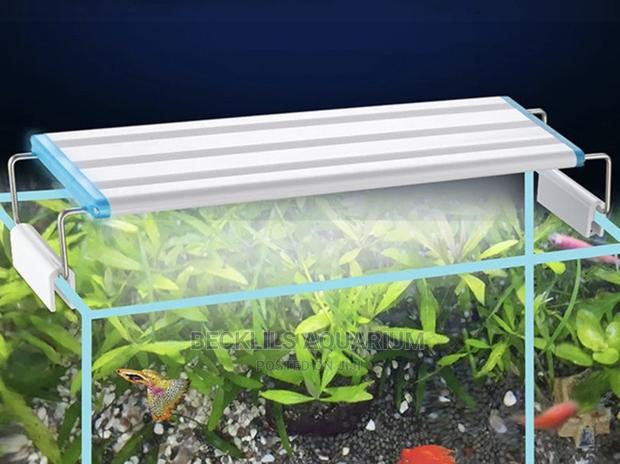 Aquarium Light · Photo 2