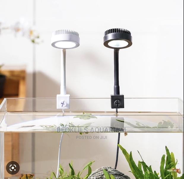 Aquarium Light and More · Photo 2