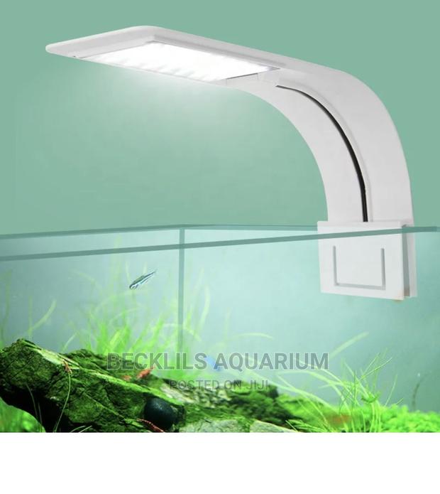 Aquarium Light and More · Photo 1