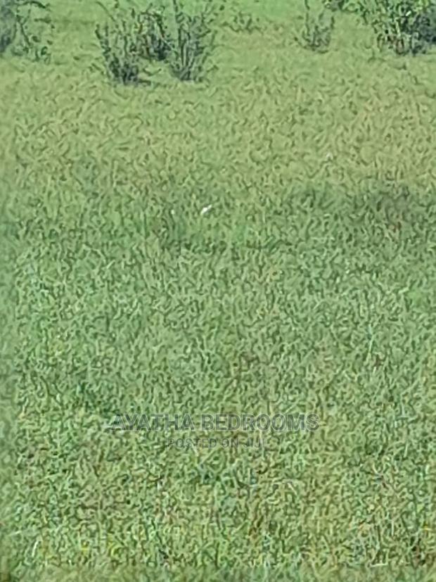 3plot of Land for Sale at Akuse · Photo 6