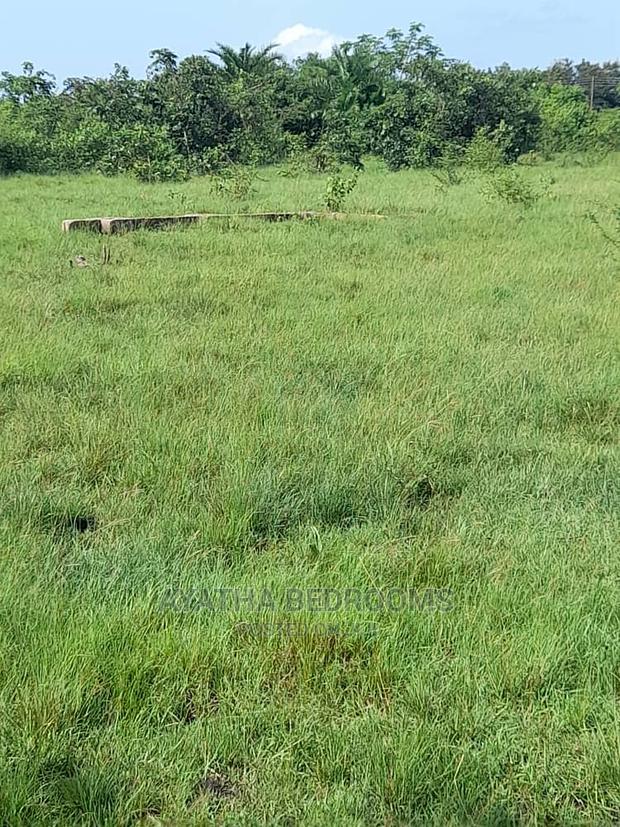 3plot of Land for Sale at Akuse · Photo 5