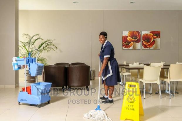 Professional Cleaners 2go · Photo 2
