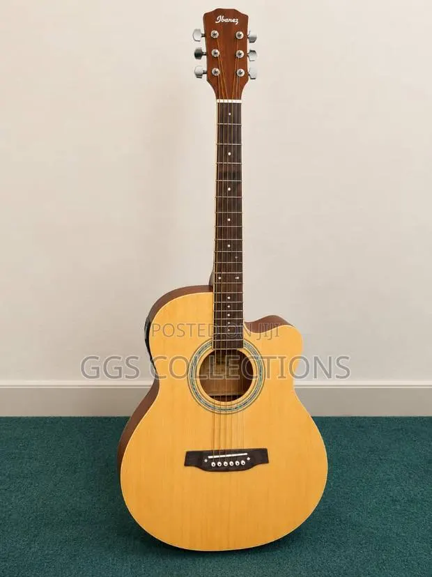 Ibanez Acoustic Guitar · Photo 1