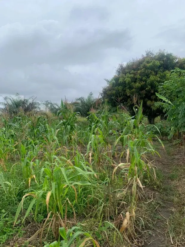 Litigaion Free Lands for Sale. Indenture Available for You. · Photo 1