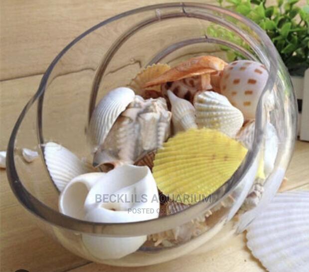Aquarium Shells Decor · Photo 1