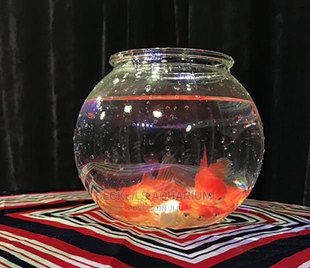 Glass Bowls With Fish · Photo 1