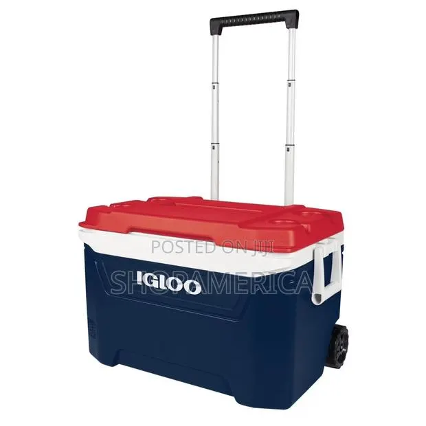 Igloo Ice Chest · Photo 1