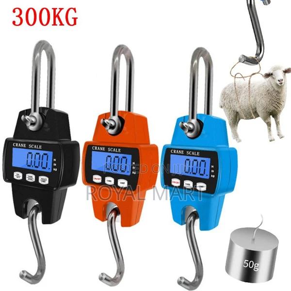 Crane Scale 300kg · Photo 1