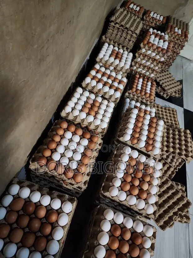 Fresh Farm Egg Depot · Photo 1