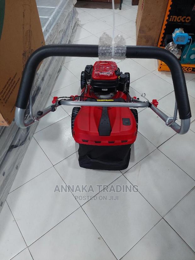 Leo Lawn Mower · Photo 4