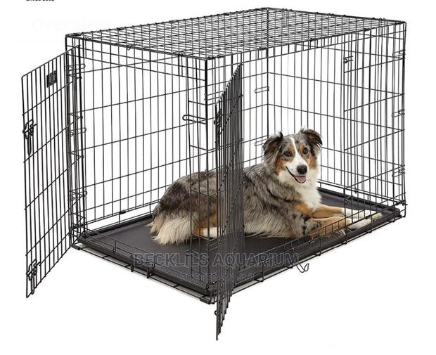 Large Quality Metallic Cage · Photo 1