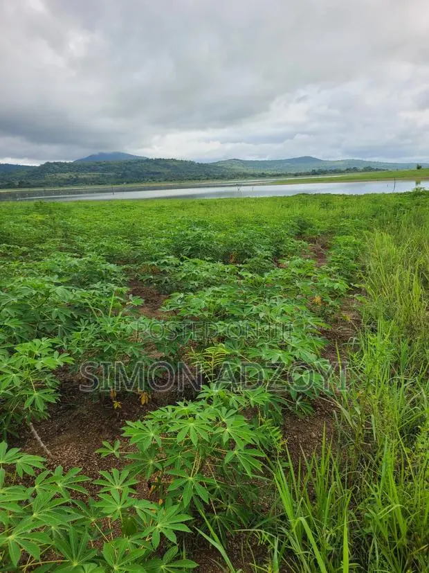 Registered 30,000 Acres of Farme Land Close to Water · Photo 2