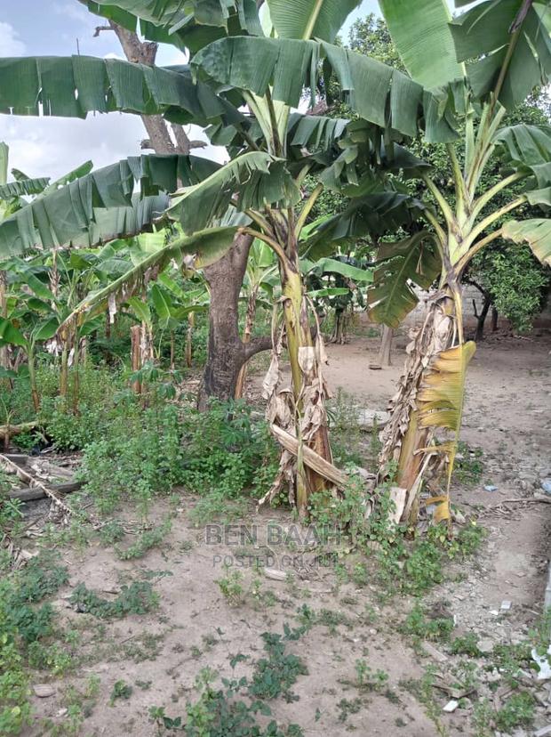 A Plot of Land at Agbogba for Sale Title 600,000 · Photo 2