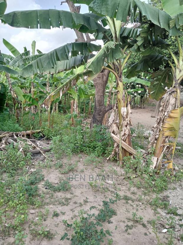 A Plot of Land at Agbogba for Sale Title 600,000 · Photo 6