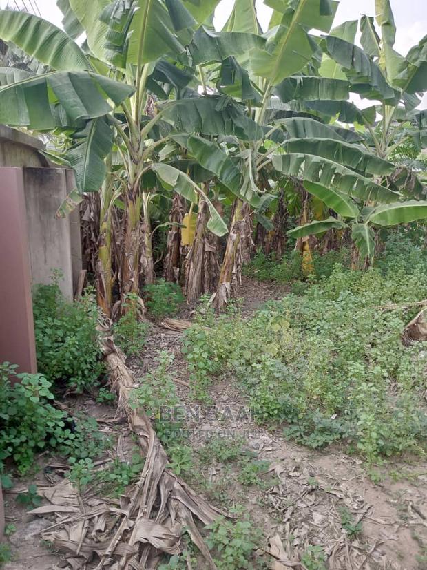 A Plot of Land at Agbogba for Sale Title 600,000 · Photo 7