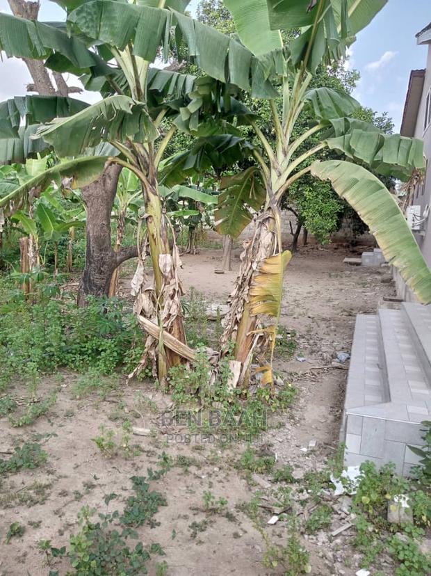 A Plot of Land at Agbogba for Sale Title 600,000 · Photo 1