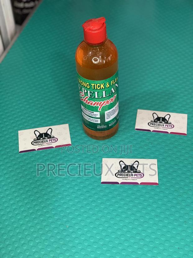 500ml Strong Ticks and Fleas Shampoo · Photo 1