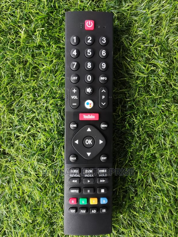 Panasonic Voice Remote · Photo 1