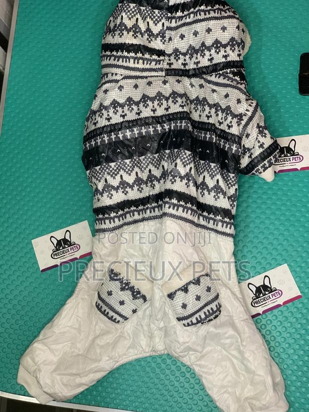 Toy Dog Clothings Series 044 · Photo 4