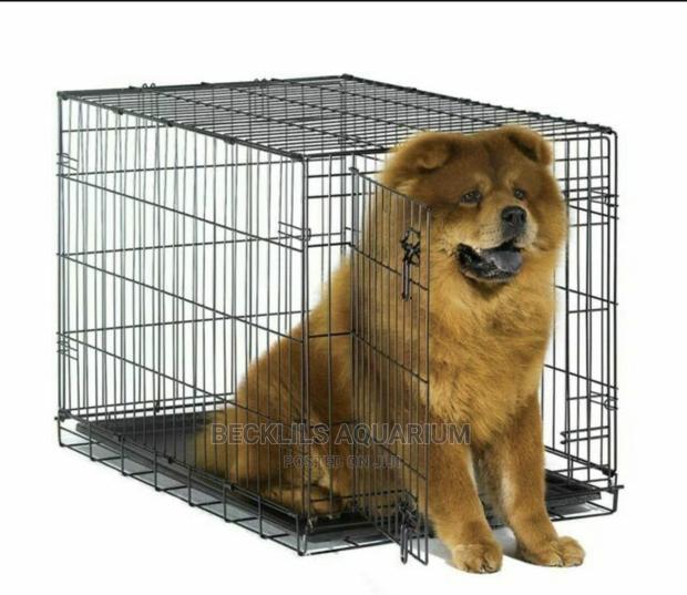 Black Metallic Dog Cages · Photo 2