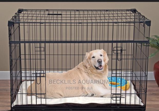 Black Metallic Dog Cages · Photo 3