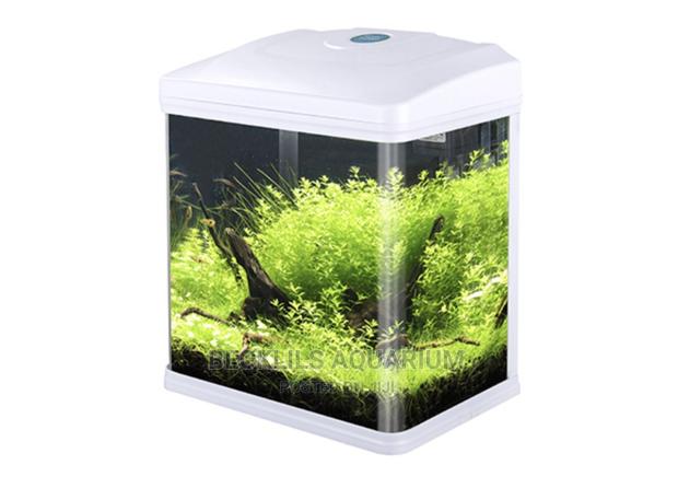 Quality Mini Aquariums · Photo 1