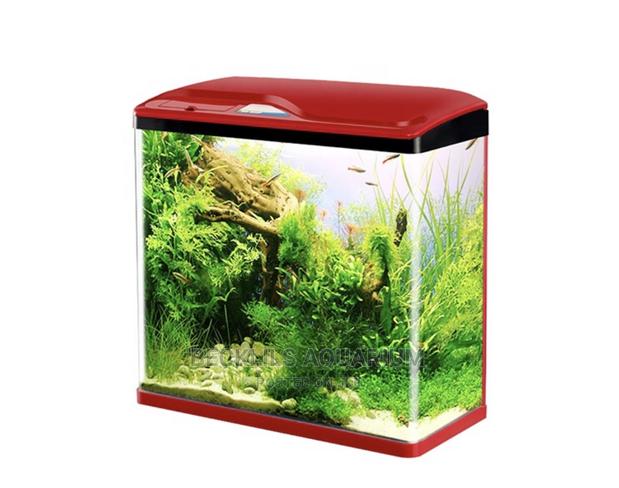 Quality Mini Aquariums · Photo 2