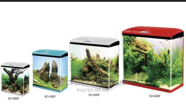 Quality Mini Aquariums · Photo 3