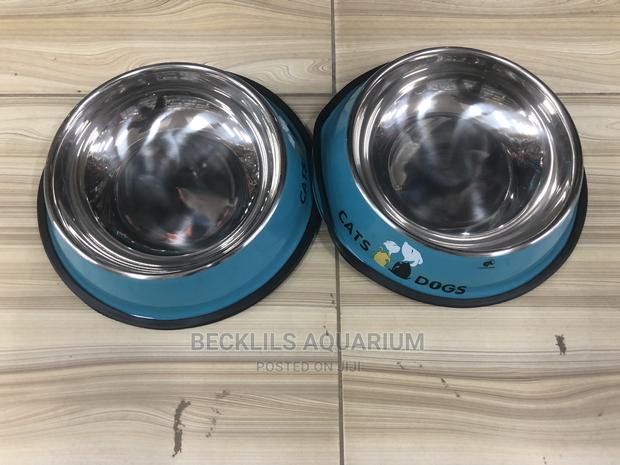 Bowls for Dogs and Cat · Photo 1