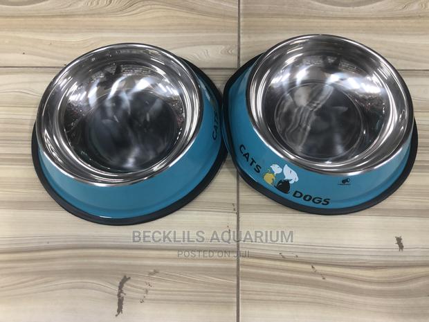 Bowls for Dogs and Cat · Photo 2