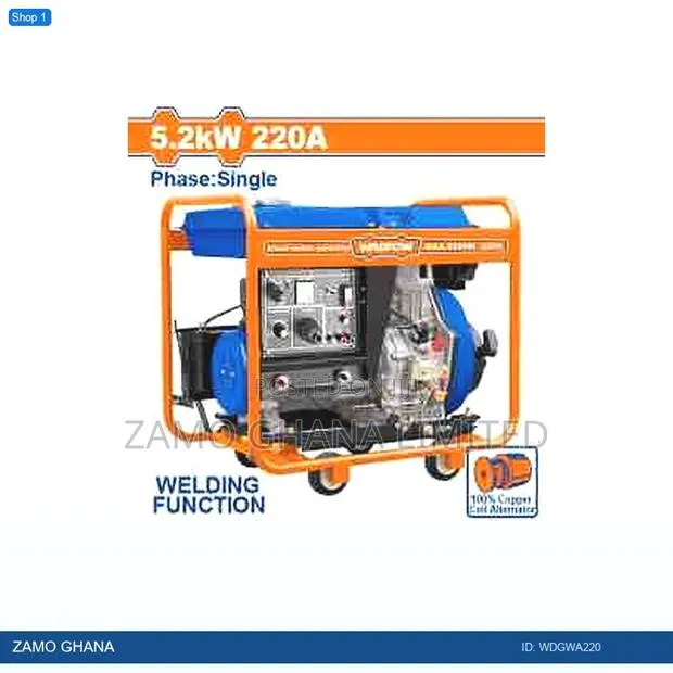 Diesel Welder Generator - Wdgwa220 · Photo 1